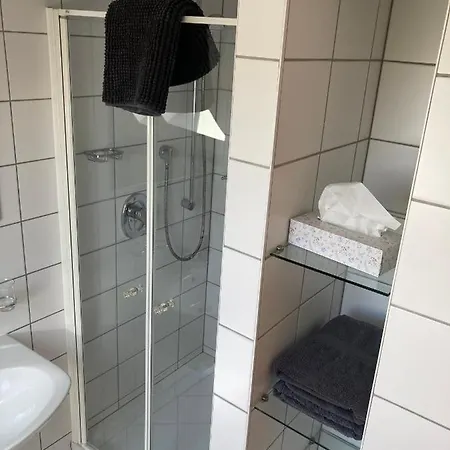 Zum Schwan Hotel 2*