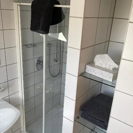 Zum Schwan Hotel 2*
