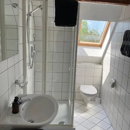 Hotel Zum Schwan 2*