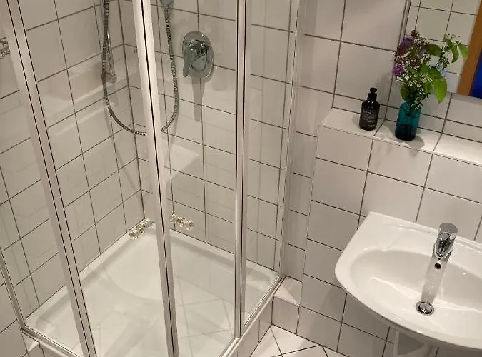 Zum Schwan 호텔